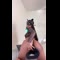 video thumb