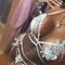 ts-lolla-prive-ontvangst-via-kinky-68f9fe952ae1c7001222d581