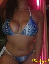 Senna - Lekker Arabische Senna aanwezig in Almelo