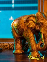 villa-weizigt-club-in-dordrecht-60a26623038b10cf9b921142