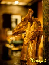 villa-weizigt-club-in-dordrecht-60a2660c8fe72065fc59e3e4