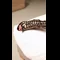 video thumb