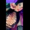 video thumb