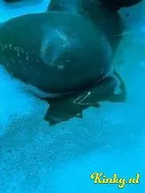 lucy-prive-ontvangst-via-kinky-696d3ca3baaf3f00136be7e5