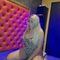 anna-prive-ontvangst-via-kinky-6909c4ce0e66ef00137b5032