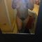 alice-prive-ontvangst-via-kinky-68c964e3034a850013ea8727