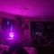michael-prive-ontvangst-via-kinky-68e45641918ef40013943d9a