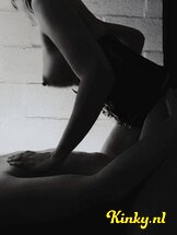 elise-&-bart-prive-ontvangst-via-kinky-67f79767b04b8d00132d595a