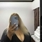 loret-escort-via-kinky-684984be3cd0cf00131cb30a