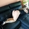 sanne-prive-ontvangst-via-kinky-689b9ee31ea34700135d2f7b