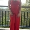 maya-prive-ontvangst-via-kinky-67fe702131f4b00013b9c543