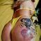 nina-escort-via-kinky-68b00fe61f33c500124ca7f2