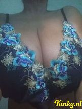 pamela-prive-ontvangst-via-kinky-69258888f65b70001393455b