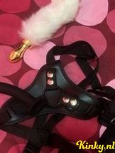 dhana-prive-ontvangst-via-kinky-68f0ace96414c600131a6d18