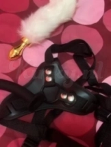 dhana-prive-ontvangst-via-kinky-68f0ace96414c600131a6d18
