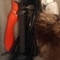 jessica-prive-ontvangst-via-kinky-68231c8543e4b9001386b1b7
