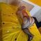 maria-prive-ontvangst-via-kinky-684ddb7db04b8d00132de8d7