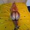 maria-prive-ontvangst-via-kinky-684ddb7c375bfd001318e629