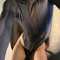 luciano-escort-via-kinky-68884fa09e10cc001344d122