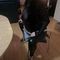vanessa-escort-via-kinky-68f013442f74810013c8598f