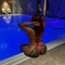 candy-prive-ontvangst-via-kinky-6862738831f4b00013ba5d3a