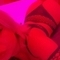 mihaela-escort-via-kinky-6834e30e4783f70013b0d66f