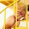 bella-virtual-sex-via-kinky-684eff433cd0cf00131cbd52
