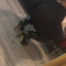 kleopatra-virtual-sex-via-kinky-6895d0951e6b270013806450