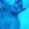pavel-escort-via-kinky-6854e7b531f4b00013ba4834