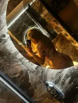 Paolla -  Terug in de stad | GFE | Real Pics | EN