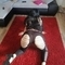 diana-prive-ontvangst-via-kinky-685e5fc34783f70013b11bcf