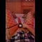video thumb