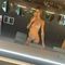 ella-escort-via-kinky-68efaf54f2706a00138de724