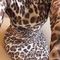 rima-prive-ontvangst-via-kinky-68f8ed9f0e66ef00137b33a1