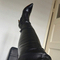 maite-prive-ontvangst-via-kinky-687fb0306f455c0013d08927