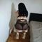 haziran-prive-ontvangst-via-kinky-68af10cb2db4460014134f6e
