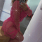 flory-prive-ontvangst-via-kinky-6887ba4a3cd0cf00131d17b2