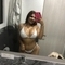 melany-prive-ontvangst-via-kinky-688917b0375bfd00131948b6