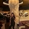 susan-prive-ontvangst-via-kinky-6889f62c375bfd001319496d