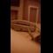 video thumb