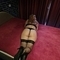 sonya-prive-ontvangst-via-kinky-688c992431f4b00013baa290