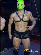 Steven - LATIN party model