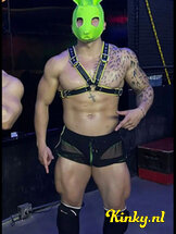 steven-prive-ontvangst-via-kinky-6890b4f36f455c0013d0a4d8