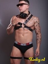 steven-prive-ontvangst-via-kinky-6890869a29a227001361410e