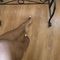 tania-prive-ontvangst-via-kinky-68e797797e9b92001310c03d