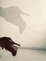 beau-prive-ontvangst-via-kinky-68a096fc237f7f0013f30e94