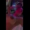 video thumb