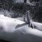 david-escort-via-kinky-68a5f52396f0c8001370cdec