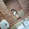 salvadora-virtual-sex-via-kinky-68db091af2706a00138dcded