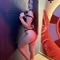 lexa-escort-via-kinky-68ac74aac804110013f38948